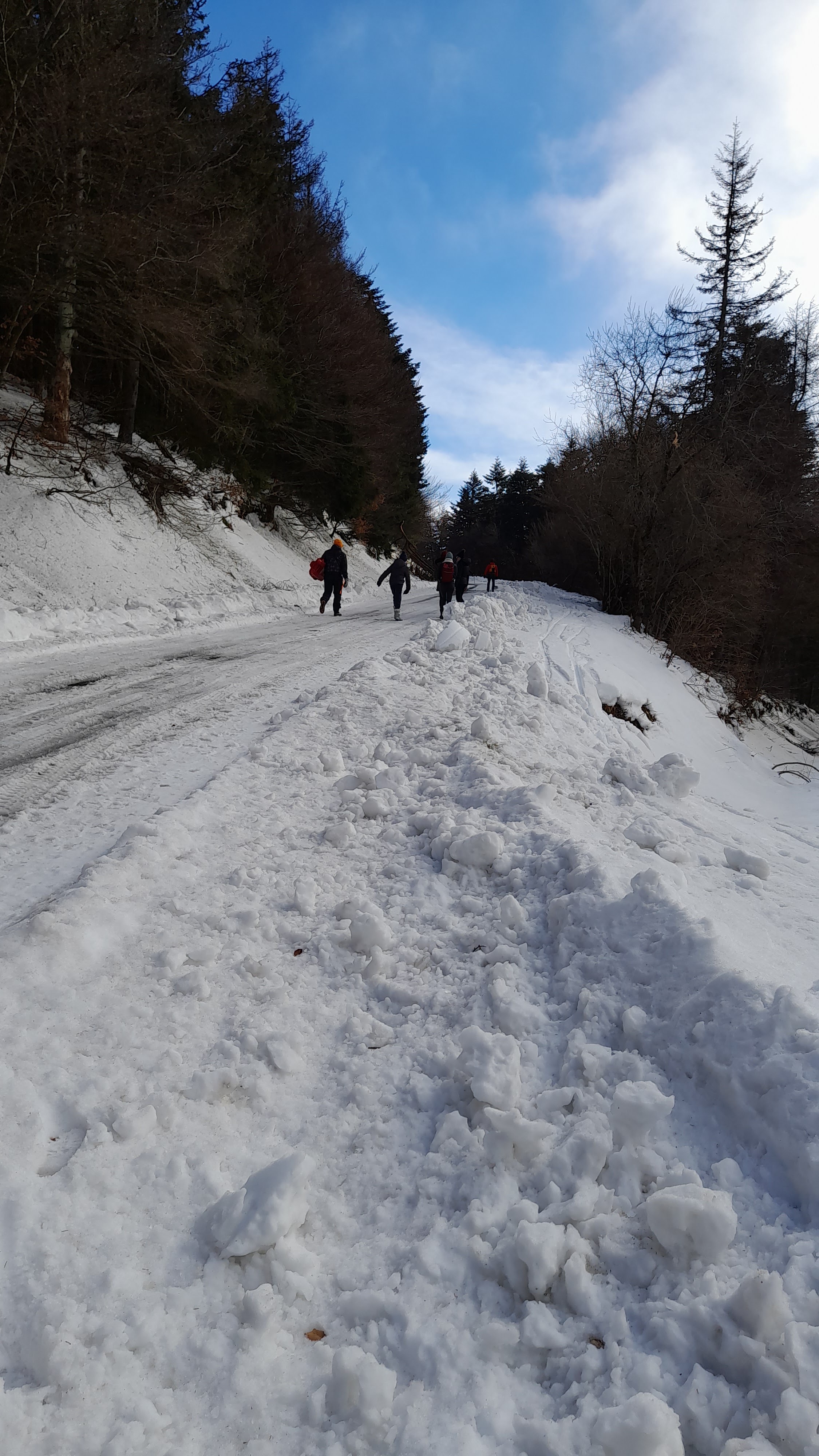 Photo n° 12 de l'avis de Cédric.o fait le 19/02/2023 à 08:07