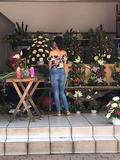 Florería Lilis – Abasolo