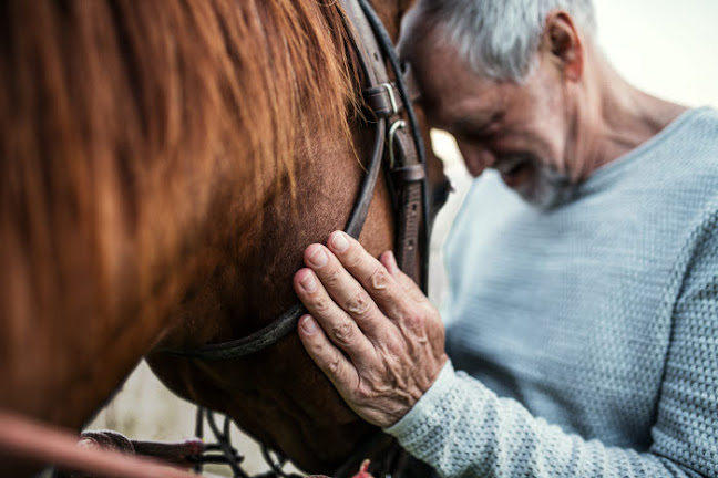 Agria Dyreforsikring - Solrød Strand