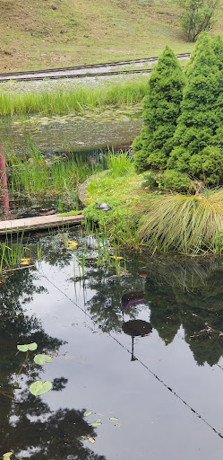 Theme Park «The Great Escape & Splashwater Kingdom», reviews and photos, 89 Six Flags Dr, Queensbury, NY 12804, USA