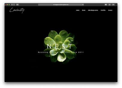 NEST WEB DESIGN