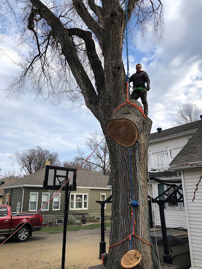 Lost Limb Logging & Tree Service LLC