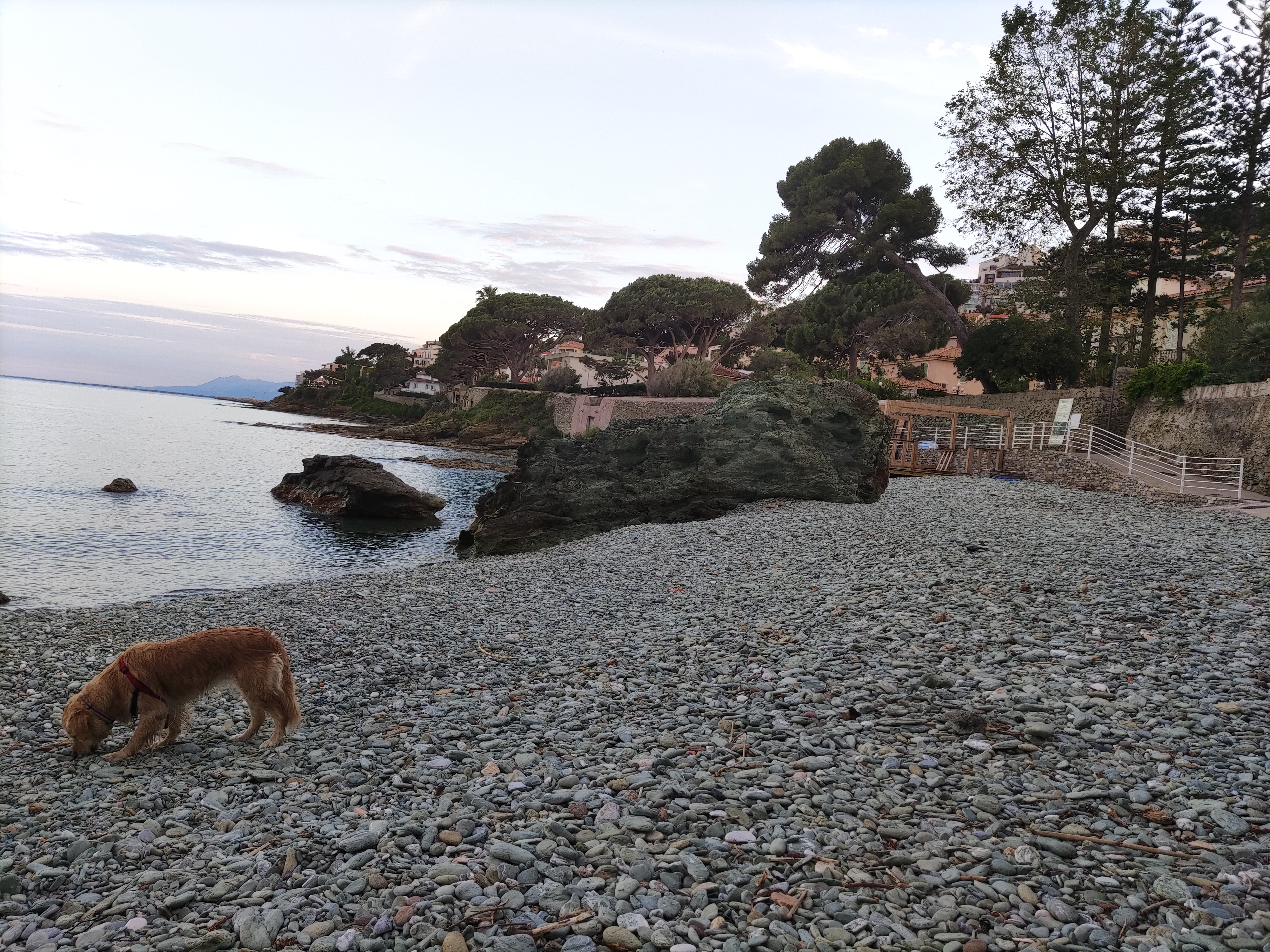 Photo n° 6 de l'avis de Stéphanie.r fait le 29/06/2021 à 15:24