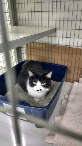 Pet Supply Store «Pet Supplies Plus», reviews and photos, 702 W Northland Ave, Appleton, WI 54914, USA