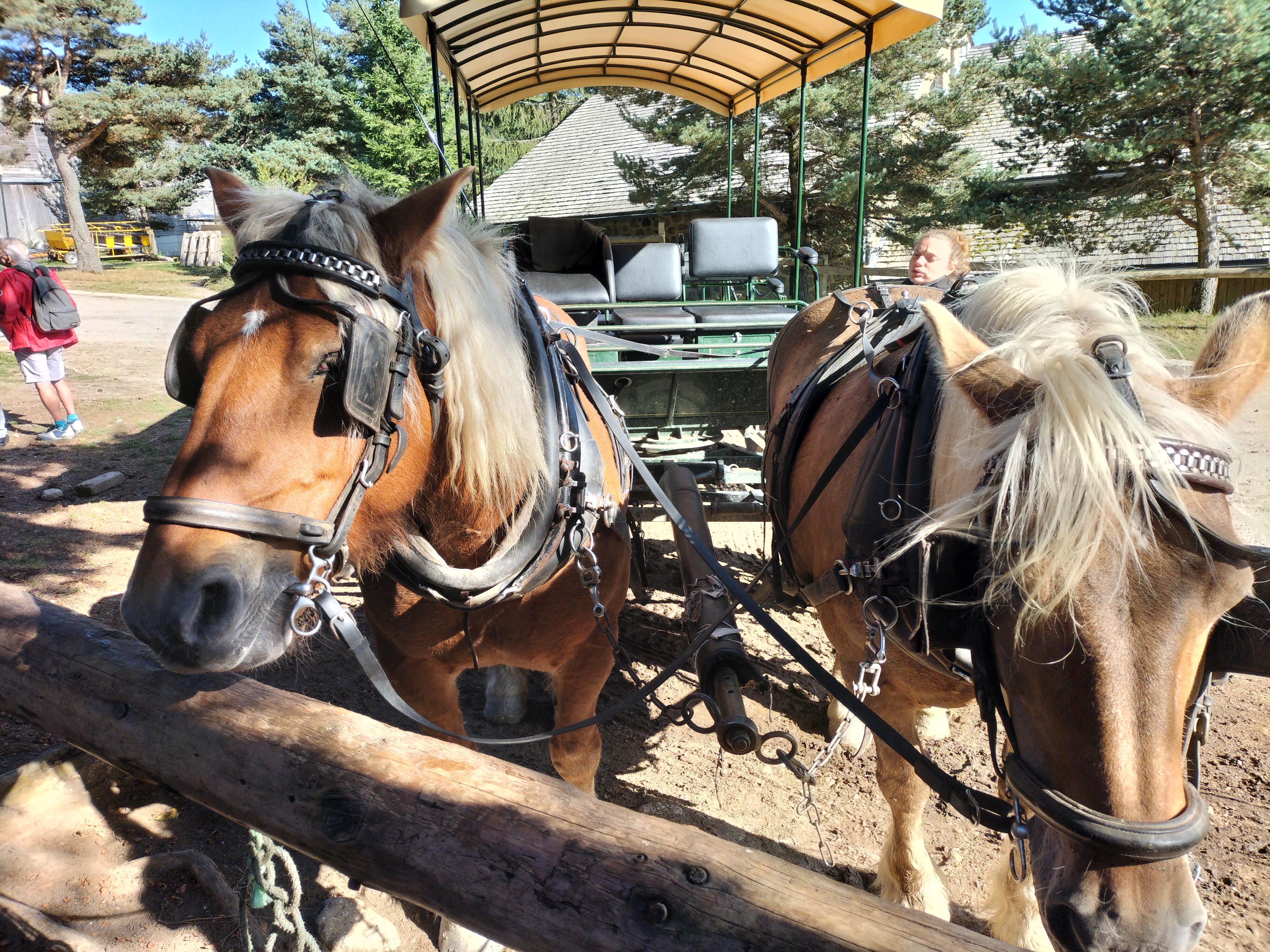 Photo n° 2 de l'avis de Philippe.u fait le 24/09/2023 à 19:05