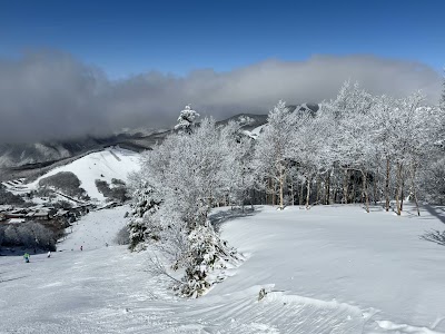 タンネの森オコジョスキー場
