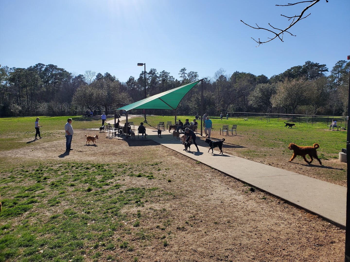 Cattail Park Dog Park