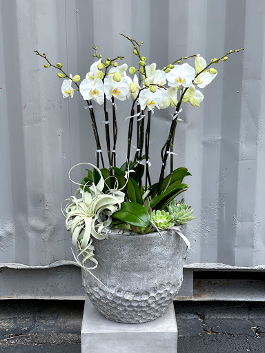 Florist «King florist of Austin», reviews and photos, 1806 W Koenig Ln, Austin, TX 78756, USA