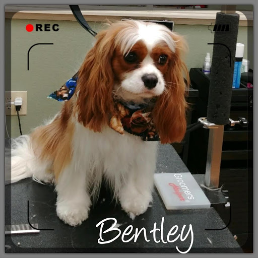 Pet Supply Store «EarthWise Pet Supply & Grooming», reviews and photos, 245 Fries Mill Rd, Blackwood, NJ 08012, USA