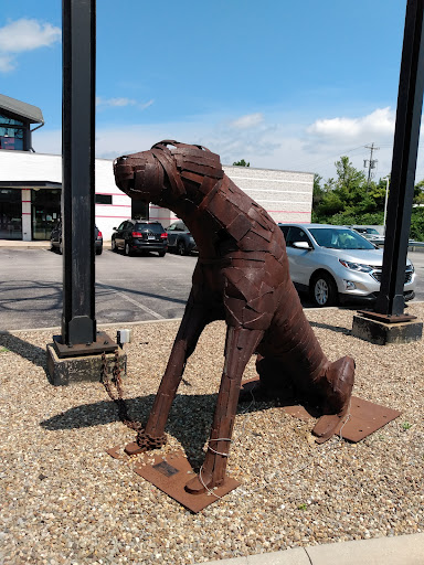 Animal Shelter «One of A Kind Pet Rescue», reviews and photos, 1929 W Market St, Akron, OH 44313, USA