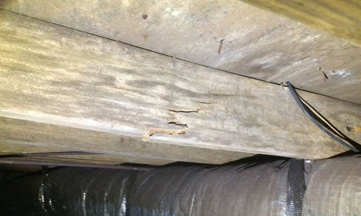 General Contractor «CNT Foundations, LLC», reviews and photos