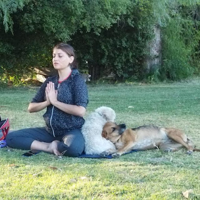Yoga Innova Mindfulness