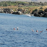 Photo n°2 de l'avis de Fabrizio.i fait le 14/01/2023 à 23:36 sur le  Baglio di Scopello à Castellammare del Golfo