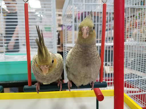 Pet Supply Store «Pet World», reviews and photos, 6527 Centralia Rd, Chesterfield, VA 23832, USA