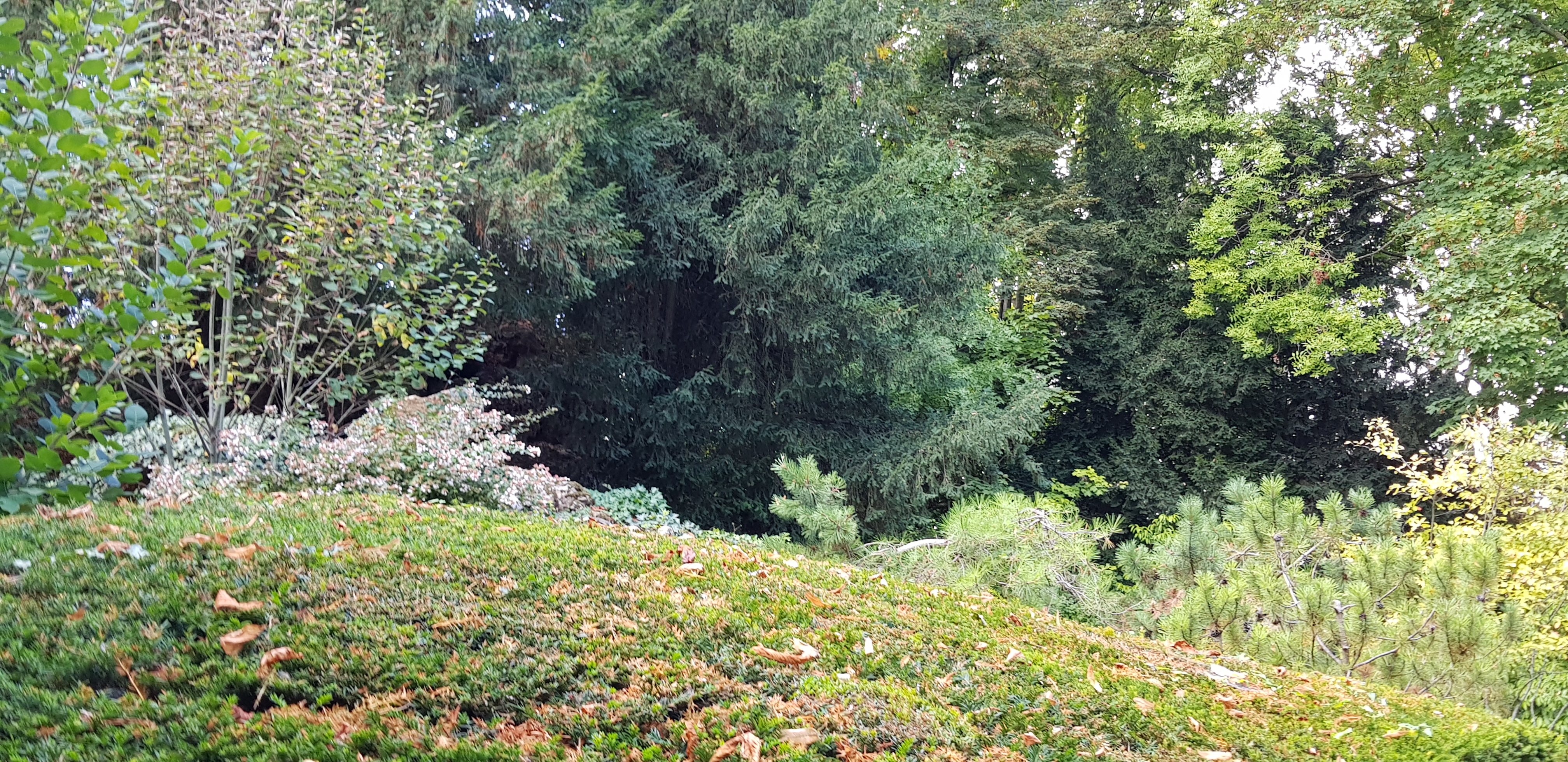 Photo n° 3 de l'avis de Hooman.e fait le 13/09/2019 à 00:06