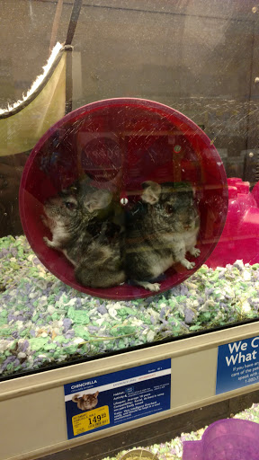Pet Supply Store «PetSmart», reviews and photos, 2020 SW Westport Dr, Topeka, KS 66604, USA