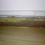 Photo n°6 de l'avis de Angelika.o fait le 07/09/2019 à 17:52 sur le  Hotel Cornelia à Bad Nauheim