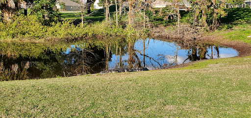 Golf Course «Deer Island Country Club», reviews and photos, 18000 Eagles Club House Way, Tavares, FL 32778, USA