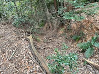 南山城跡