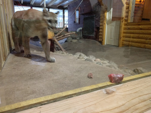 Wildlife Park «The Creature Conservancy», reviews and photos, 4950 Ann Arbor-Saline Rd, Ann Arbor, MI 48103, USA