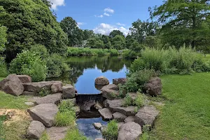 The Webster Arboretum image