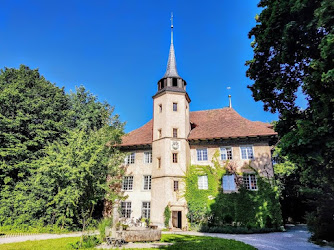 Schloss Aarhof Praxiszentrum Für Bewegungsmedizin