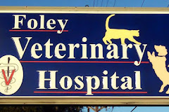 Foley Veterinary Hospital