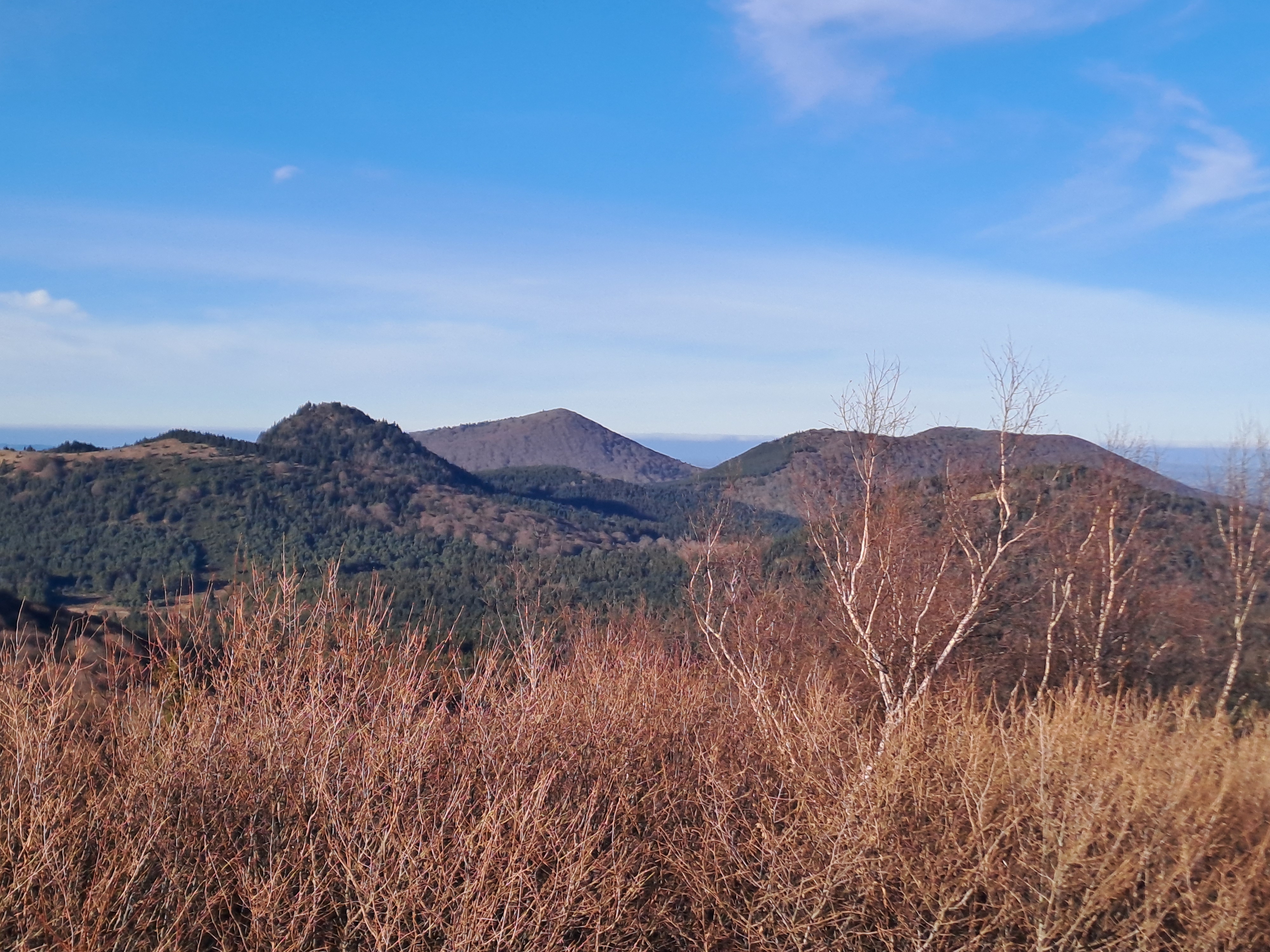 Photo n° 1 de l'avis de Festival.e fait le 01/01/2024 à 12:28