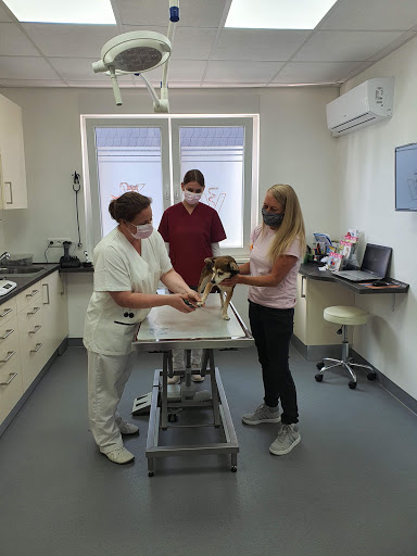 Veterinary practice & Mobile veterinarian Oberhausen K. Büttner unter Oberhausen, 