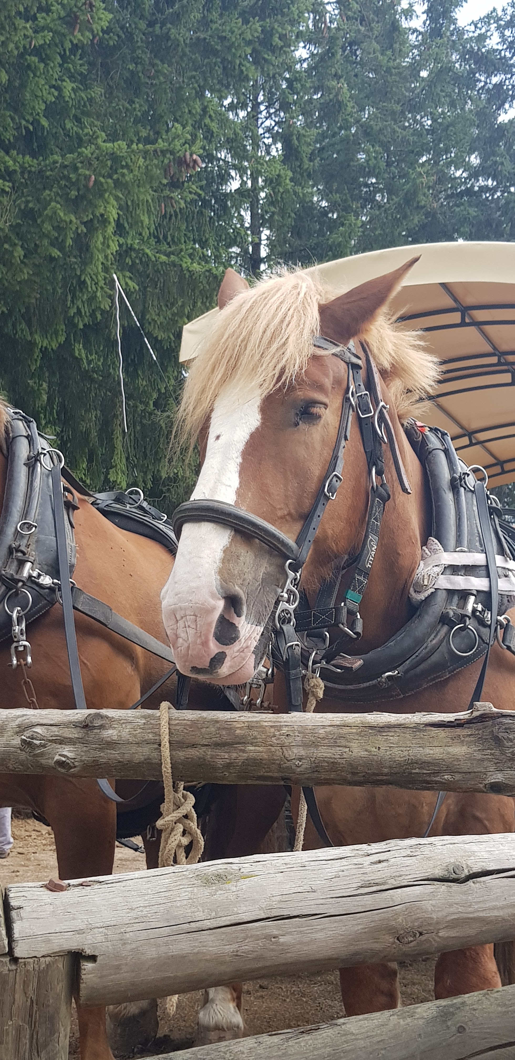 Photo n° 3 de l'avis de StA.P fait le 23/08/2022 à 08:35