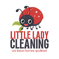 Little Lady Cleaning - Photo 8 - Car repair in , Savannah