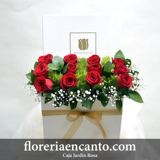 Floreria Encanto – Monterrey
