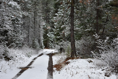 Blue Mountain Forest State Scenic Corridor