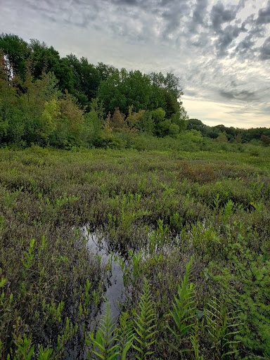 Nature Preserve «Mud Lake Bog Nature Preserve», reviews and photos, 905 E Elm Valley Rd, Buchanan, MI 49107, USA