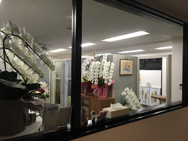 Tokyo Chiropractic - Tokyo Chiropractic