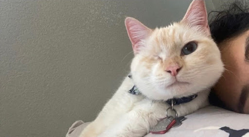 Explore exercise tattoo ideas, creative tattoo ideas in El Paso, available at Pumping Ink Tattoo Parlor