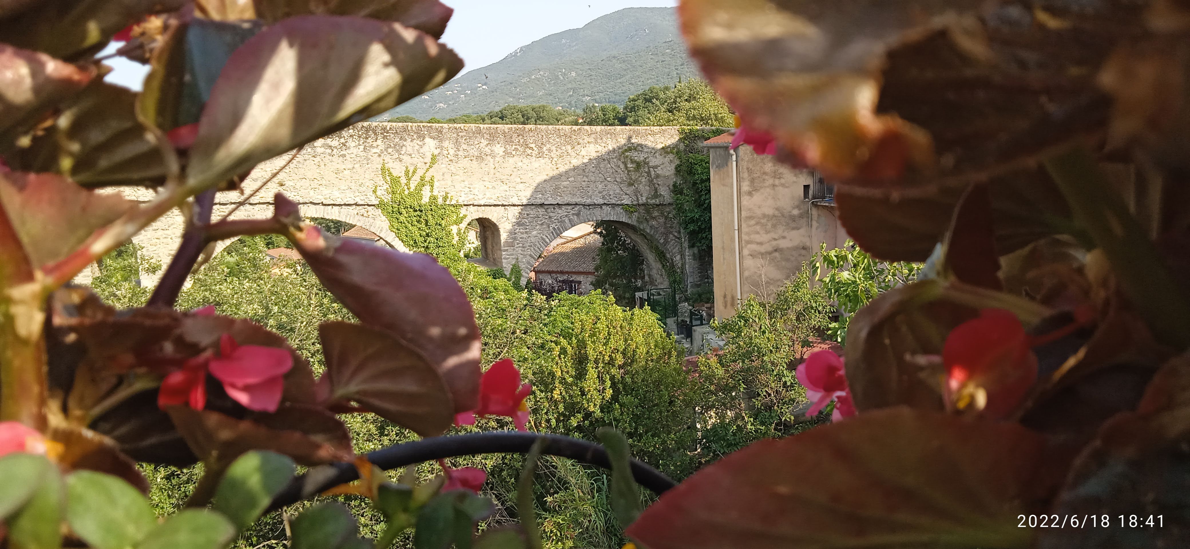 Photo n° 11 de l'avis de Blain.� fait le 19/06/2022 à 12:11