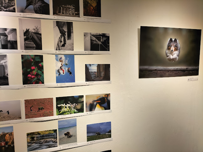 Photobastei - Das Haus für Fotografie in Zürich - Museum