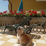 Photo n°1 de l'avis de Massimo.o fait le 14/08/2018 à 06:27 sur le  Residence Hotel Miralago à Madrano-Canzolino