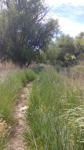 Nature Preserve «Wilson Springs Ponds», reviews and photos, 3209-3507 S Powerline Rd, Nampa, ID 83686, USA