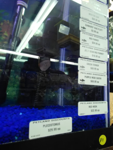 Pet Store «Petland Discounts - Canarsie», reviews and photos, 20-46 Rockaway Pkwy, Brooklyn, NY 11236, USA