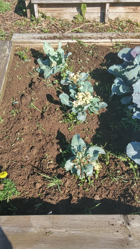 Monday Creek Restoration Project