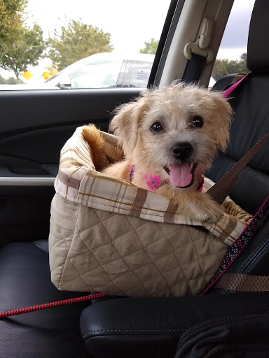 Pet Supply Store «Care-A-Lot Pet Supply Indian River», reviews and photos, 5457 Indian River Rd, Virginia Beach, VA 23464, USA