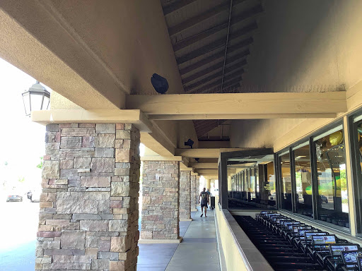 Grocery Store «Vons», reviews and photos, 26518 Bouquet Canyon Rd, Saugus, CA 91350, USA