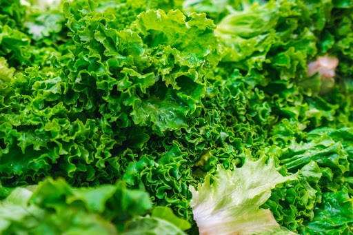 Grocery Store «Giuntas Meat Farm», reviews and photos, 1035 Fulton St, Farmingdale, NY 11735, USA