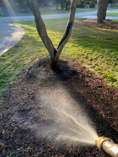 Tree Service «Polgar Tree Service & Removal LLC», reviews and photos