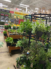 The Home Depot - Photo 4 - Car repair in Topsham, ME, Portland