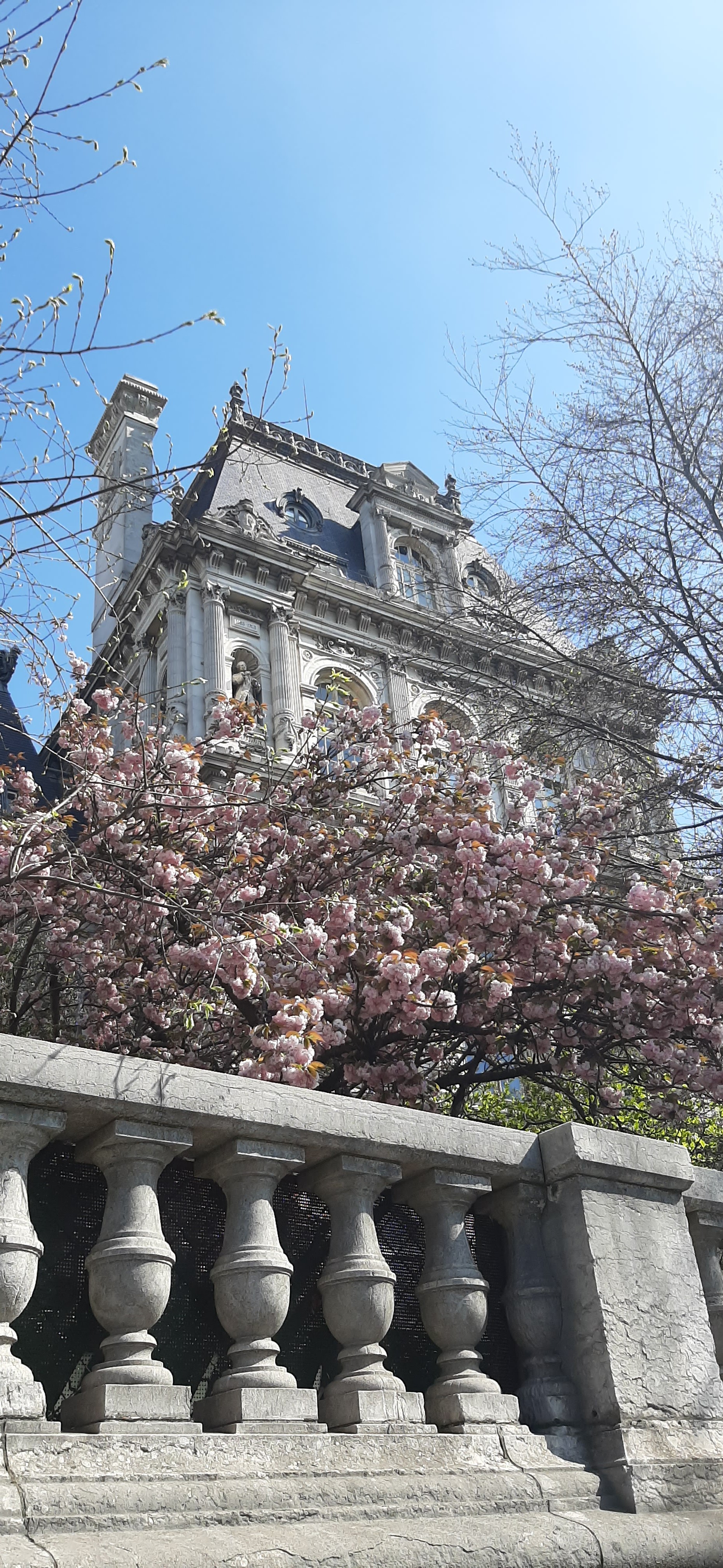 Photo n° 1 de l'avis de Sandrine.h fait le 13/04/2021 à 13:05