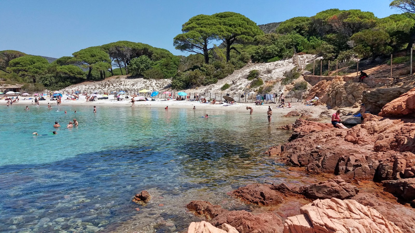 Plage de Palombaggia photo #9