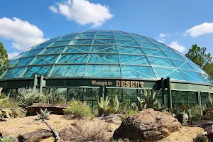 Desert Dome image